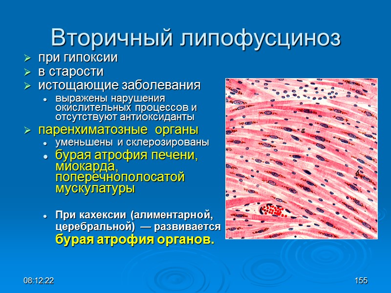 08:12:02 155 Вторичный липофусциноз при гипоксии  в старости  истощающие заболевания выражены нарушения